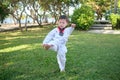Asian 3 - 4 years old toddler boy child posing in fighting action on nature at the park, Taekwondo class for toddler, Fun & Royalty Free Stock Photo