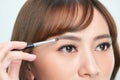 Asian young beautiful woman applying cosmetic powder brush on eyebrow, natural makeup, beauty face Royalty Free Stock Photo