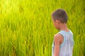Asian young boy standing and looking at rice field on meadow and sunrise background ,boy smile and charming,Lifestyle of asian Royalty Free Stock Photo