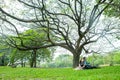 asian young couple in love enjoy playing guitar under a big tree in the park Royalty Free Stock Photo