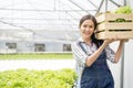 Asian young girl farmer in greenhouse hydroponic holding basket of vegetable She is harvesting vegetables green salad.