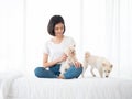 Asian young girl sitting and playing with Shiba Inu dog Japanese pedigree and adorable maltese long hair on her white bed and cozy Royalty Free Stock Photo