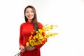 Asian young girl wearing traditional clothing ao dai, holding a branch of yellow Apricot blossom