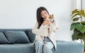 Asian young happy cheerful female owner sitting smiling on cozy sofa couch playing hugging cuddling with best friend small Royalty Free Stock Photo