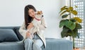 Asian young happy cheerful female owner sitting smiling on cozy sofa couch playing hugging cuddling with best friend small Royalty Free Stock Photo