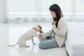 Asian young happy cheerful female owner sitting smiling on floor using squeezing toy ball playing fetching training best friend Royalty Free Stock Photo