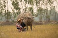 Asian young lady sit beside buffalo and hold radio Royalty Free Stock Photo