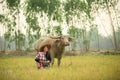 Asian young lady sit beside buffalo and hold radio Royalty Free Stock Photo