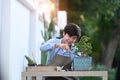 Asian young man wearing apron caring for plant bonsai at home. Royalty Free Stock Photo