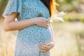 Asian young pregnant woman in blue dress relaxing and enjoying life in grass nature at summer day. Royalty Free Stock Photo