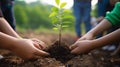 Asian young volunteers are actively participating in a greenery project by planting trees cultivate lush forest.Their dedication