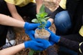 Asian young of volunteers planting trees Royalty Free Stock Photo