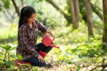 Asian young woman help afforest and water the plant with sapling tree outdoors in forest nature spring Royalty Free Stock Photo