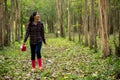 Asian young woman help afforest and water the plant with sapling tree