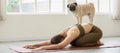 Asian young woman practice yoga with dog pug breed enjoy and relax with yoga at home Royalty Free Stock Photo