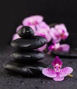 Asian zen stones with orchid flowers on black background with water drops Royalty Free Stock Photo