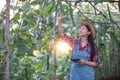 Asias women Agronomist and farmer Using Technology for inspecting in Agricultural and organic vegetable Field Royalty Free Stock Photo