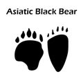 Asiatic Black Bear Footprint