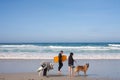 Asilomar State Beach on a Sunday Royalty Free Stock Photo