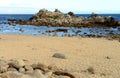 Asilomar State Marine Reserve California Royalty Free Stock Photo