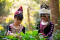 asin girl in akha tribal dress is picking tea leaves in plantation