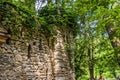 The overgrown castle in the forest