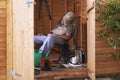 Asleep in shed Royalty Free Stock Photo