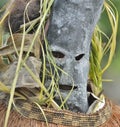 Asmat people mask for the rite. Royalty Free Stock Photo