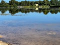 Asp (Leuciscus aspius) in the water near the edge of a pond, looking for small fish Royalty Free Stock Photo