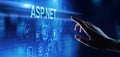 Asp.net web-application software development platform. Programming language. Royalty Free Stock Photo
