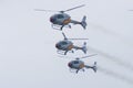 Aspa Patrol. 5 x Eurocopter EC120B ColibrÃÂ­. Festa al cel (Sky Party Air show)