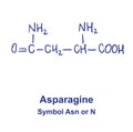 Asparagine chemical structure. Vector illustration Hand drawn