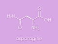 Asparagine L-asparagine, Asn, N amino acid molecule. Skeletal formula. Royalty Free Stock Photo
