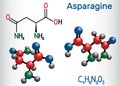 Asparagine L-asparagine , Asn, N amino acid molecule. It is is used in the biosynthesis of proteins. Structural chemical