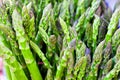 Asparagus Royalty Free Stock Photo