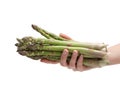 Asparagus Royalty Free Stock Photo