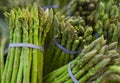 Asparagus in bunch Royalty Free Stock Photo