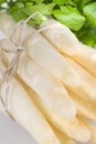 Asparagus Royalty Free Stock Photo