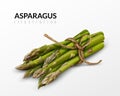 Asparagus Bunch Realistic Image