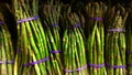 Asparagus bunches Royalty Free Stock Photo