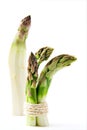 Asparagus bundle Royalty Free Stock Photo