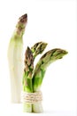 Asparagus bundle