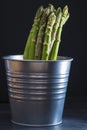 Asparagus bundle on a black background Royalty Free Stock Photo