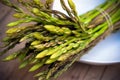 Asparagus bundle on dish Royalty Free Stock Photo