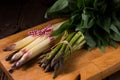 Asparagus bundle Royalty Free Stock Photo