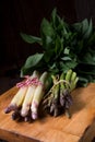 Asparagus bundle Royalty Free Stock Photo