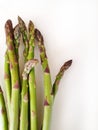 Asparagus Bundles. Royalty Free Stock Photo