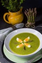 Asparagus cream soup with egg Royalty Free Stock Photo