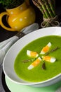 Asparagus cream soup with egg Royalty Free Stock Photo