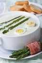 Asparagus cream soup with eggs in white bowl macro Royalty Free Stock Photo